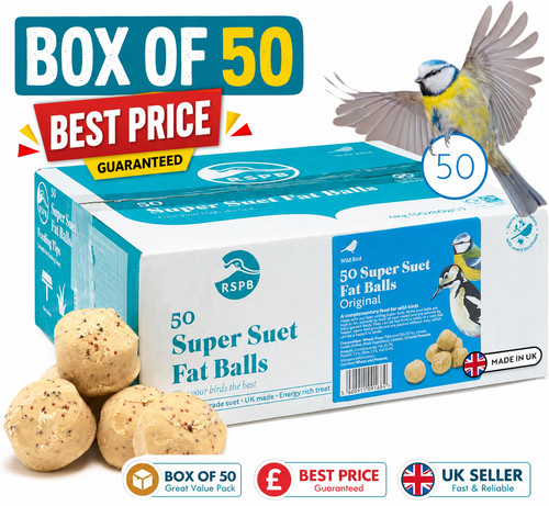Rspb super suet balls - suet,
