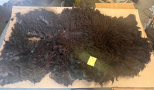 Pure Rare Breed Hebridean