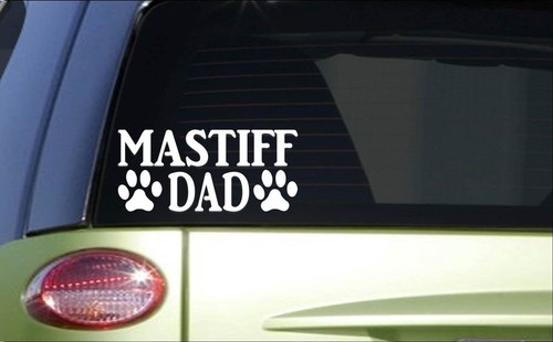 Mastiff dad h838 - mastiff, inch