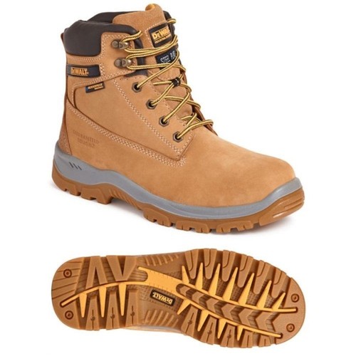 Dewalt mens titanium - mens,