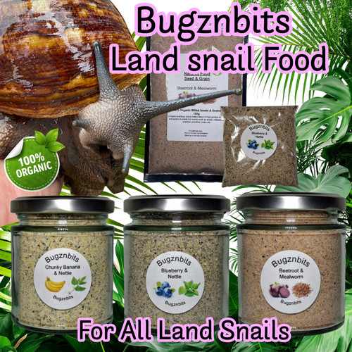 Organic snail food seed - snail,