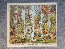 Vintage c1900 Toy Theatre