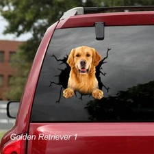 LARGE-SIZED CAR DECALS -