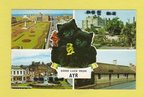 161 postcard ayr - ,