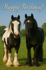 Gypsy Vanner Horse Birthday