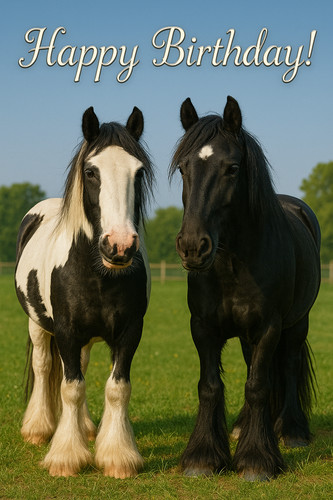 Gypsy vanner horse birthday - gypsy,