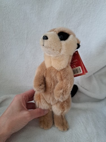 Small meerkat stuffed toy - stuffed,
