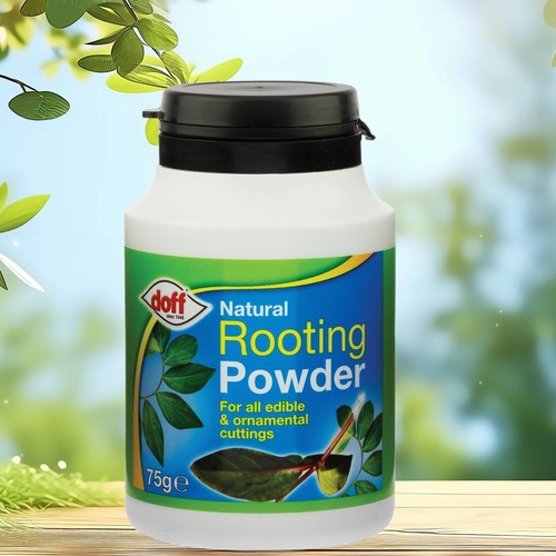 Doff natural rooting - doff, powder