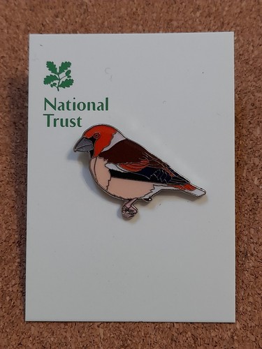 National trust sizergh - national,