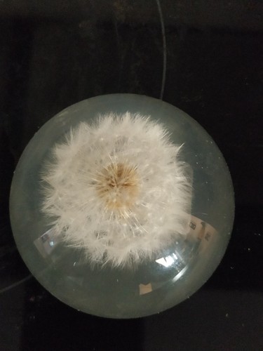 Signed rolfe vintage half - w.rolfe,