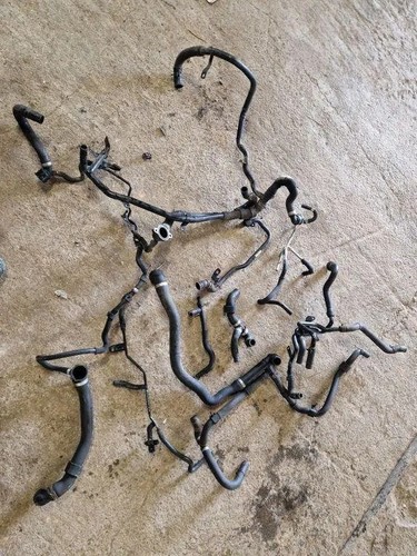 Passat alltrack 365 hose - passat,