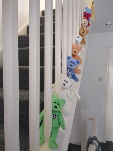 Bears joblot 9 beanie - of,