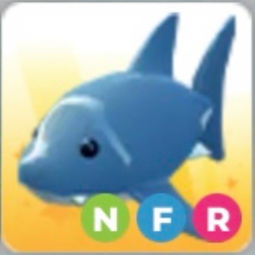 Adopt pet from - a, fly