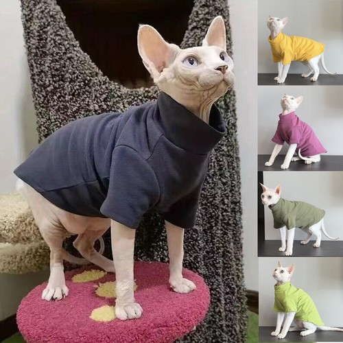 Sphynx cat clothe - cat,