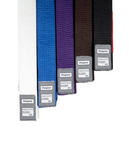 Progress bjj belt - progress, 24/25