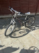 Trek MT220 Kids Mountain Bike