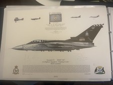 Tornado F3 ze7887 - Squadron