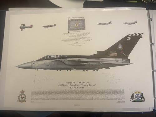 Tornado ze7887 squadron - tornado,