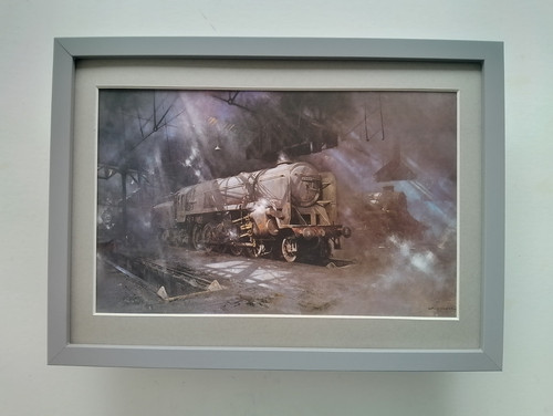 David shepherd steam - shepherd,