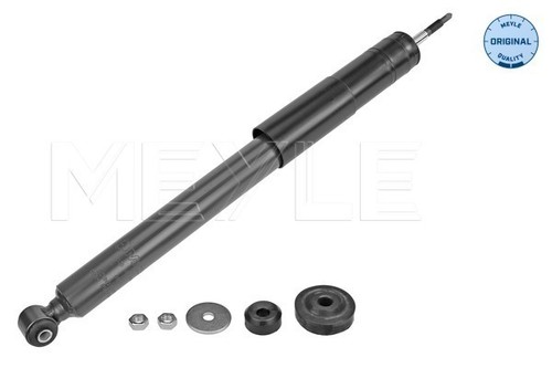 Shock absorber for - shock,
