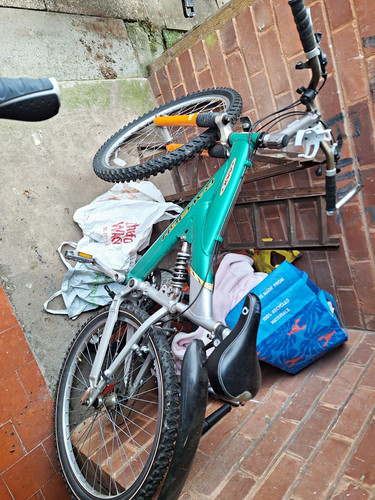 Raleigh max full - full, suspension