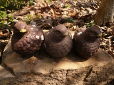 3 ADORABLE BABY QUAIL VINTAGE