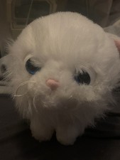 GENUINE THE CAT ARTLIST