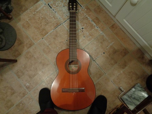 Eko 552 acoustic - eko,
