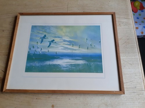 Peter scott print 1940 - peter,