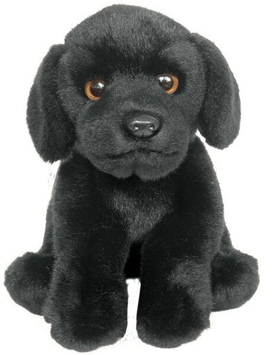 Black labrador teddy - 12",