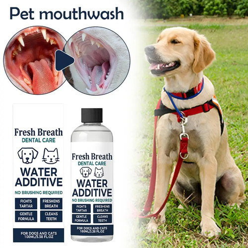 Pet dental care - dental, additive