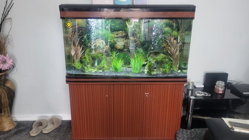 Complete fish tank setup with - complete,