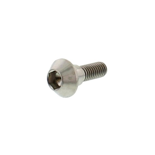 Brake disc bolt m6x1 20mm - m6x1.00,