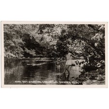 TAVISTOCK Devon, Harford Caravan Park RP Postcard #1, Unused