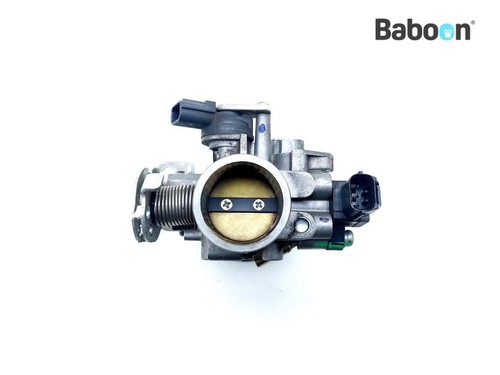 Throttle body assy royal - assy,