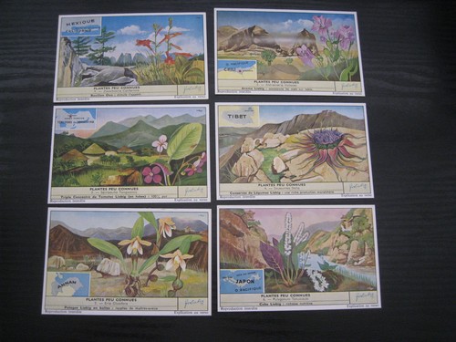Liebig set cards s1672 - 6,