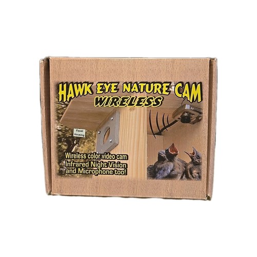 Bird watching nature cam - cam, hawk