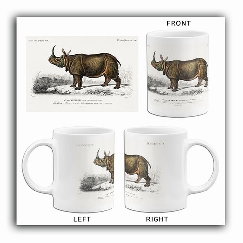 Indian rhinoceros - indian,