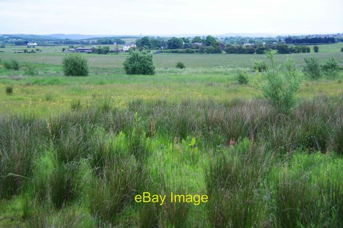 Rough grazing land near birch - near,