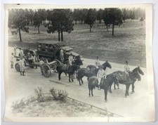 Vintage US Army Military Photo