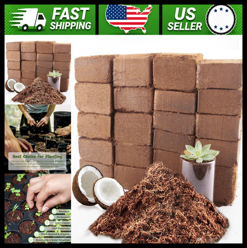 Coco coir bricks - coir, plants