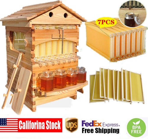 Auto beehives frames - auto,
