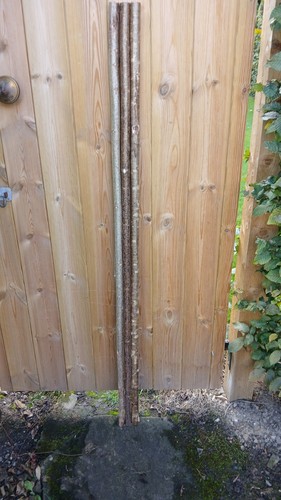 Hazel walking stick - hazel,