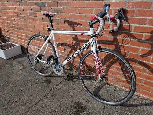 Coated dolomiti 55cm road bike - road,