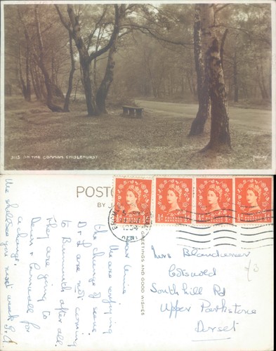 Common chislehurst kent - common, at