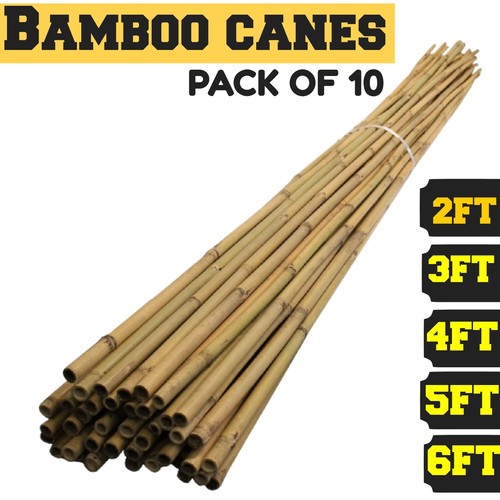 Bamboo garden canes thick - garden,