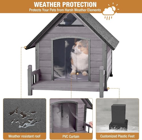 Zone pet dog - dog, house