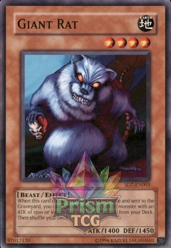 Giant rat sd7 en003 yugioh - giant,