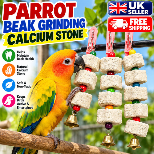 Bird chewing toy parrot - bird,