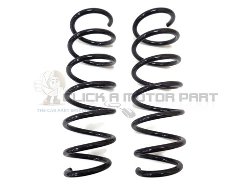 Rear suspension coil springs - suspension, 2